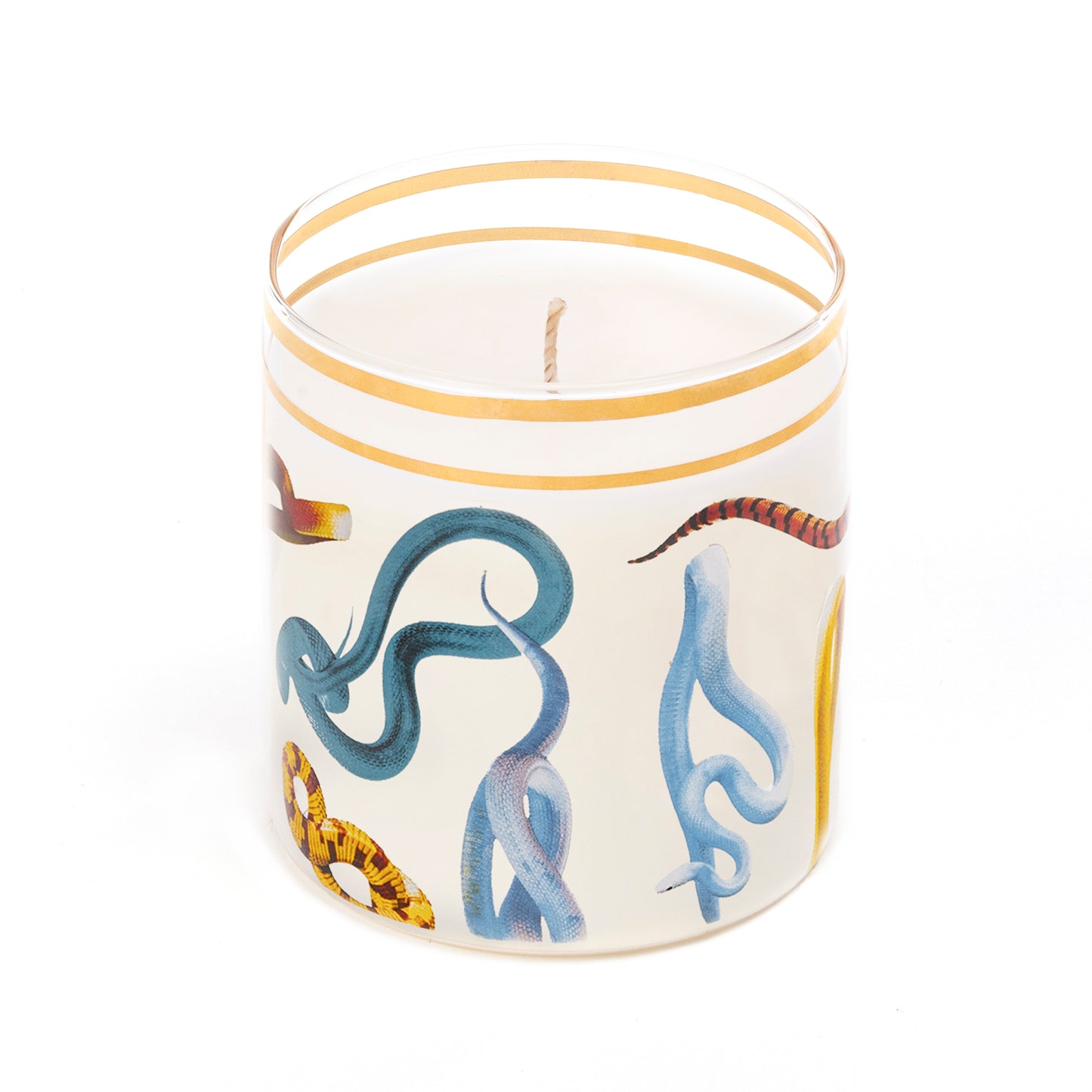 TOPILETPAPER NO FEAR NO SHAME SNAKES CANDLE IN GLASS 14083